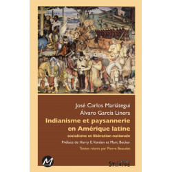 Indianisme et paysannnerie en Amerique latine : Chapitre 6