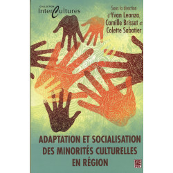 Adaptation et socialisation des minorités culturelles en région : Chapitre 1