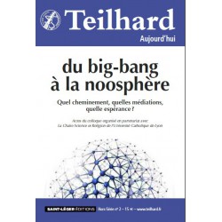Revue Teilhard Aujourd'hui : Du big-bang à la noosphère : Introduction