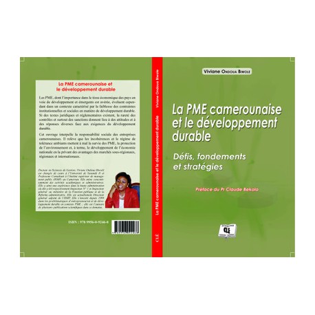 La PME camerounaise et le développement durable de Viviane Ondoua Biwole : Introduction