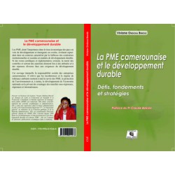 La PME camerounaise et le développement durable de Viviane Ondoua Biwole : chapitre 1