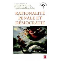 Rationalité pénale et démocratie : Sommaire