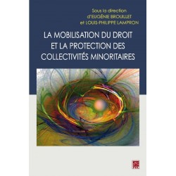 La mobilisation du droit et la protection des collectivités minoritaires sur artelittera.com